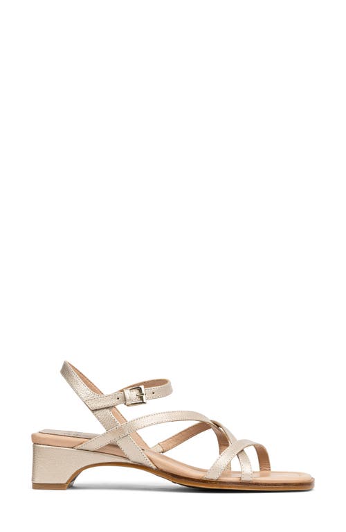 DONALD PLINER DONALD PLINER CESILIA SANDAL