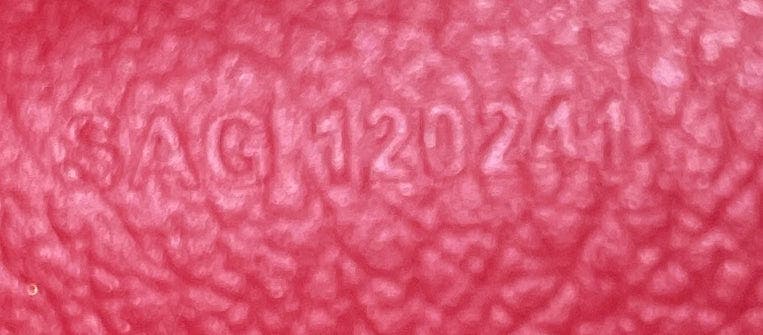 Pre-Owned Goyard Hirondelle Shoulder Bag Coated Canvas and Leather, Alternate, color, Red