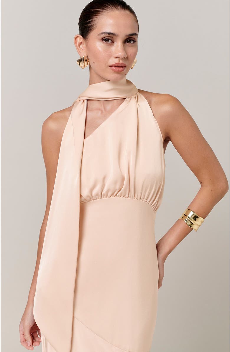 SAVEL Chloe Maxi Dress, Alternate, color, Pale Pink