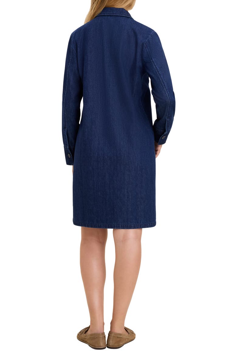 Mae Denim Dress, Alternate, color, DARK WASH