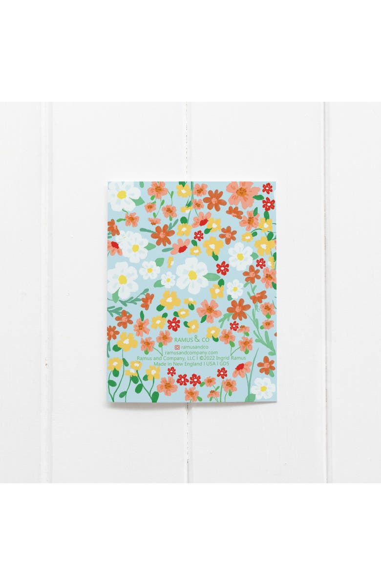 Ramus & Co Graduation Greeting Card Pack (3ct) "So, So proud of You", Alternate, color, Multi-Pack