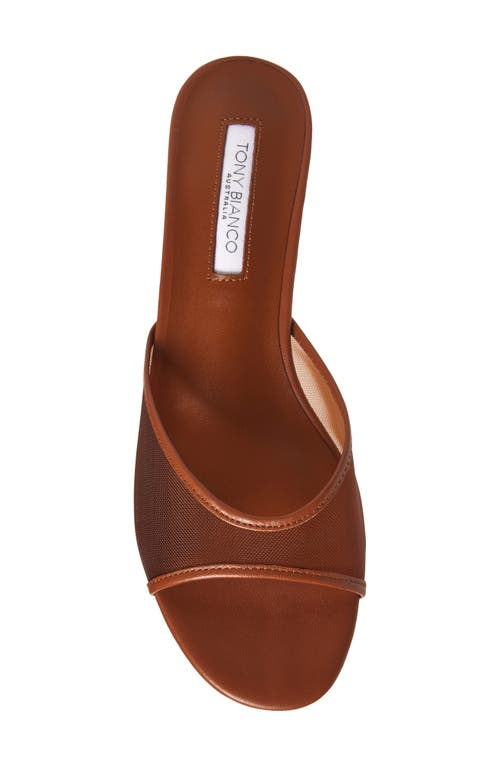 Tony Bianco Pru Kitten Heel Slide Sandal In Rust Nylon/rust