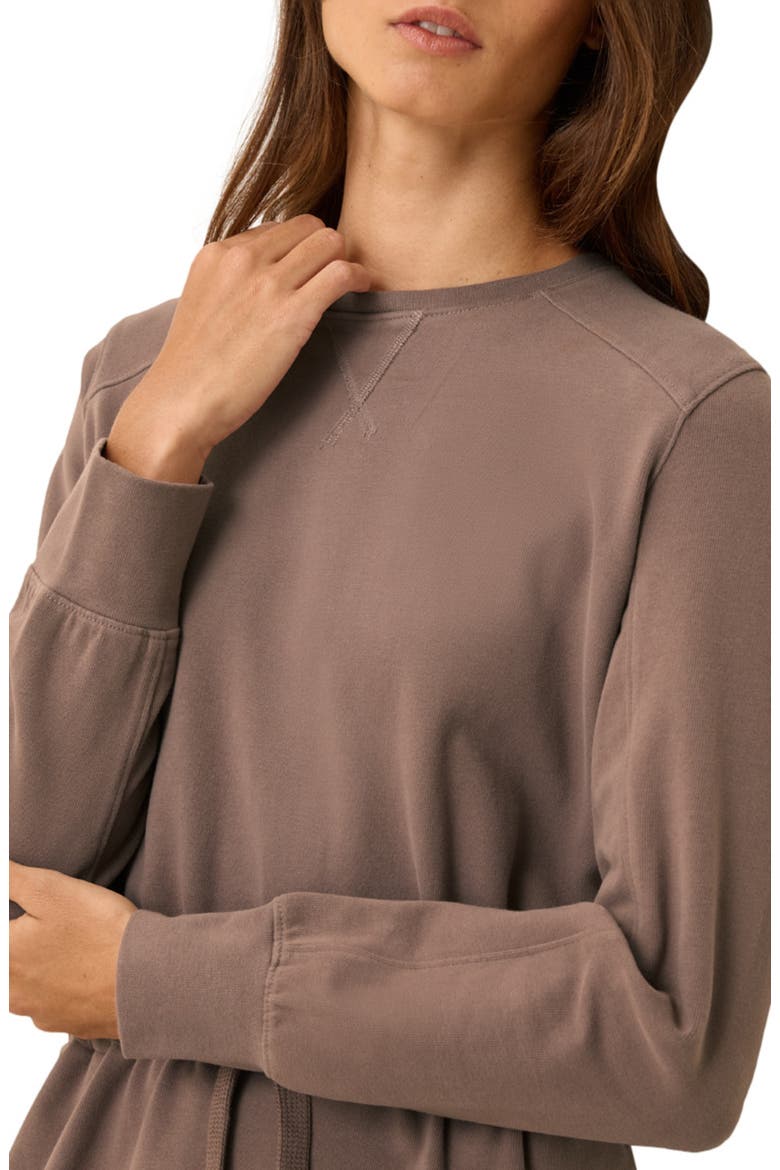 Organic Cotton CloudKnit Sweatshirt Dress, Alternate, color, Deep Taupe