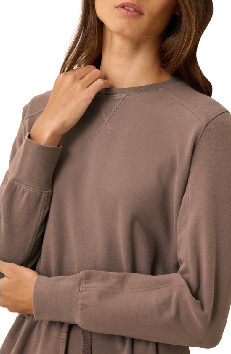 Pact Organic Cotton CloudKnit Sweatshirt Dress, Alternate, color, Deep Taupe