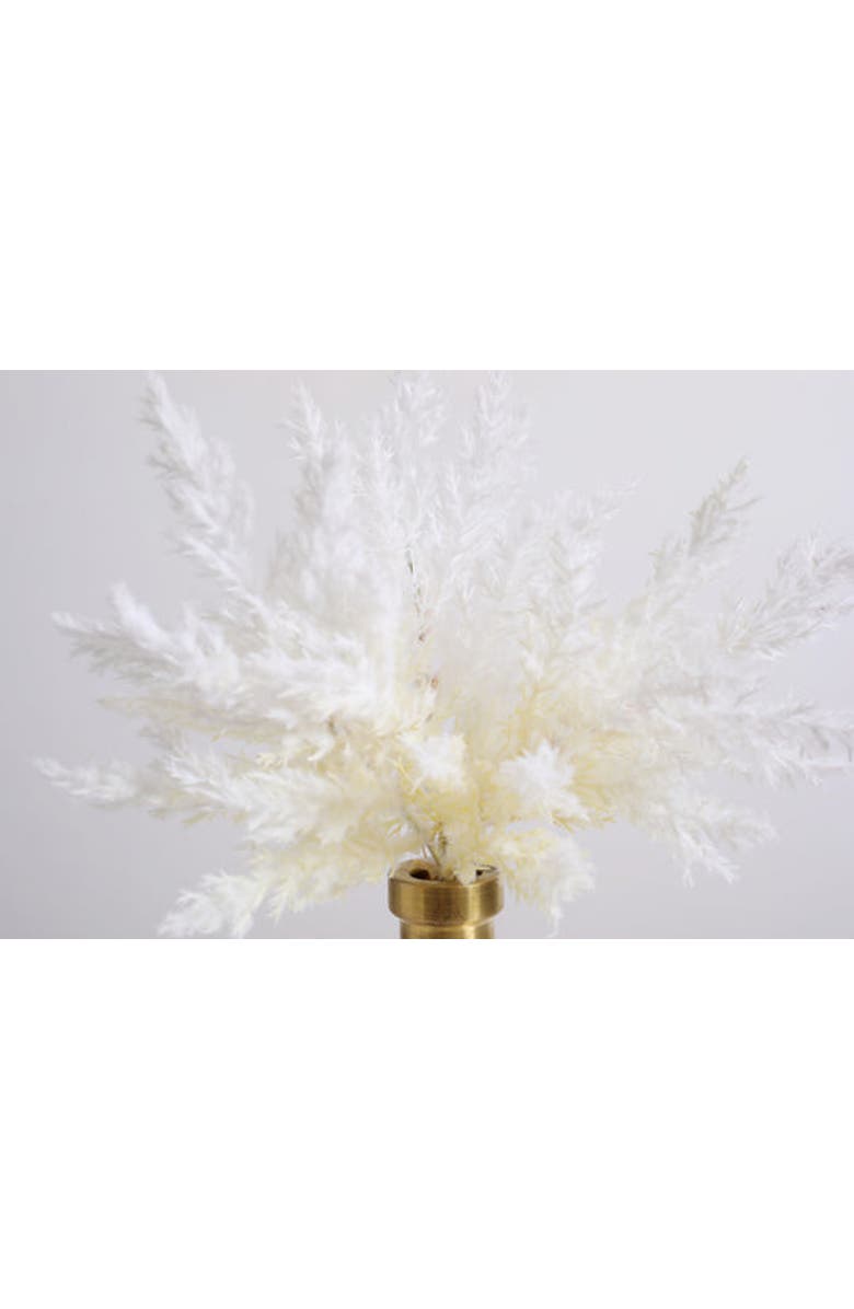 Darby Creek Trading Bleached Pampas Grass Arrangement in Glass Bud Vase, Alternate, color, White Short