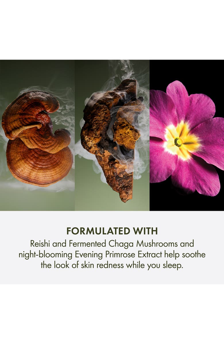 Origins Dr. Weil for Origins Mega-Mushroom Overnight Recovery Cream, Alternate, color,