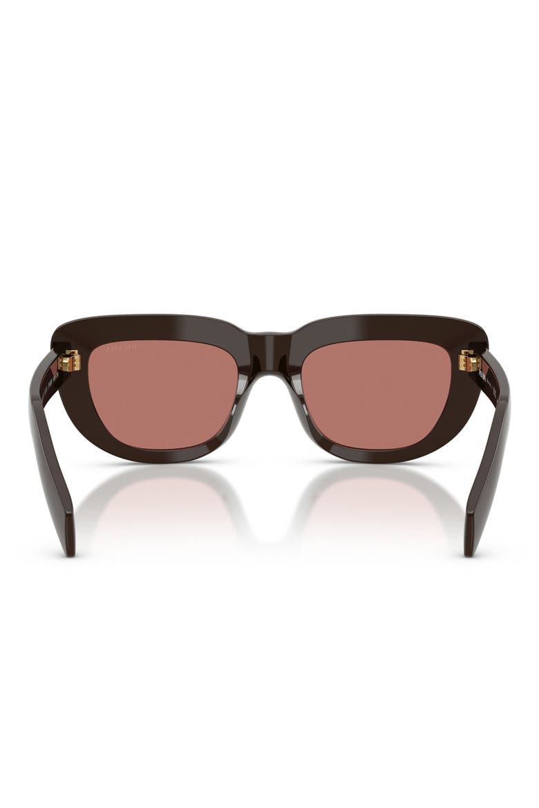 53mm Rectangular Sunglasses, Alternate, color, CIGAR / BORDEAUX