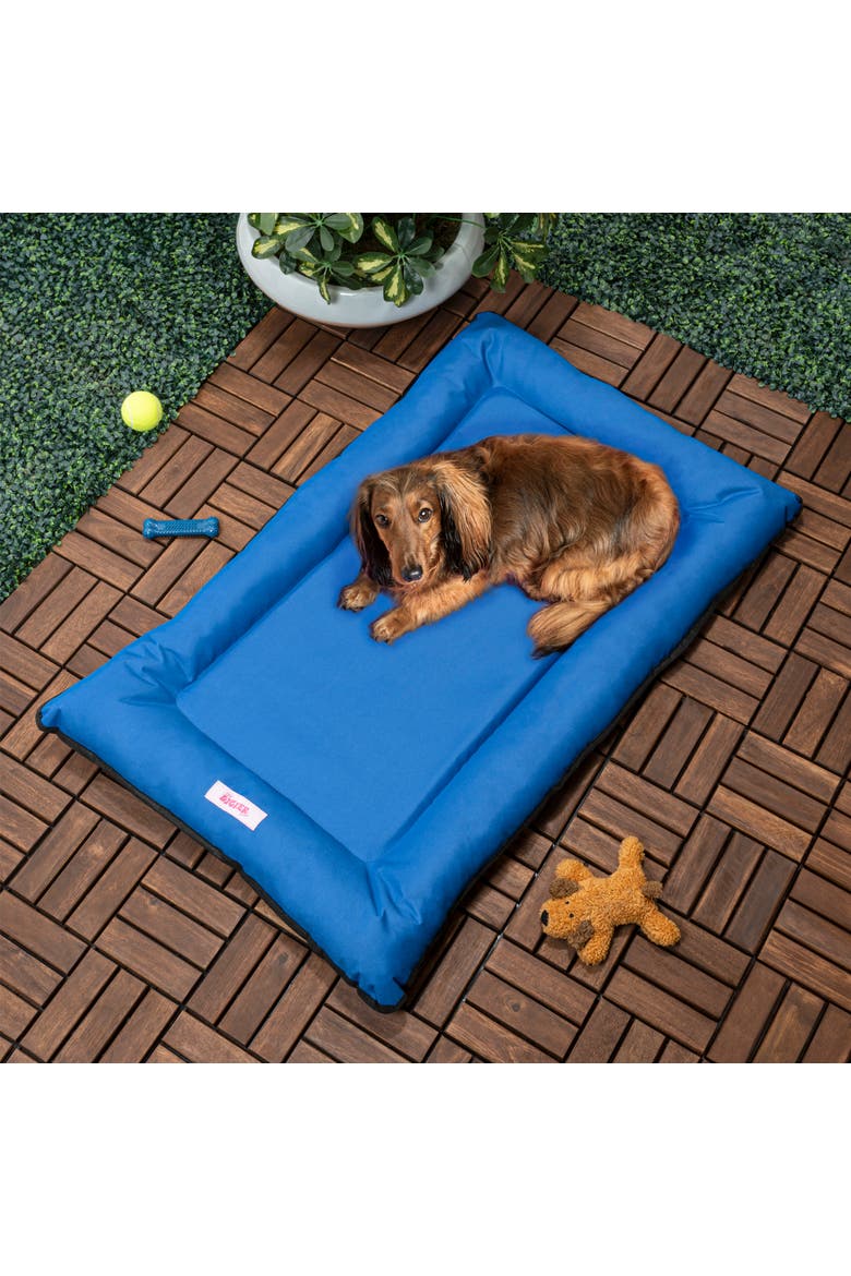 Archie Traditional Oxford Waterproof Indoor/Outdoor Hand-Washable Memory Foam Camping Pet Bed, Alternate, color, Blue