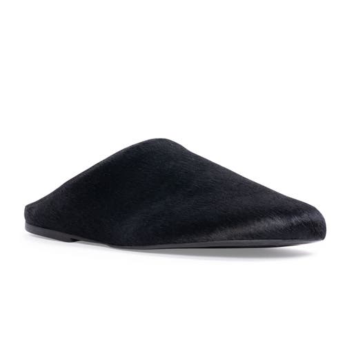 Black Suede Studio Arie Ponyhair Slipper In Multi