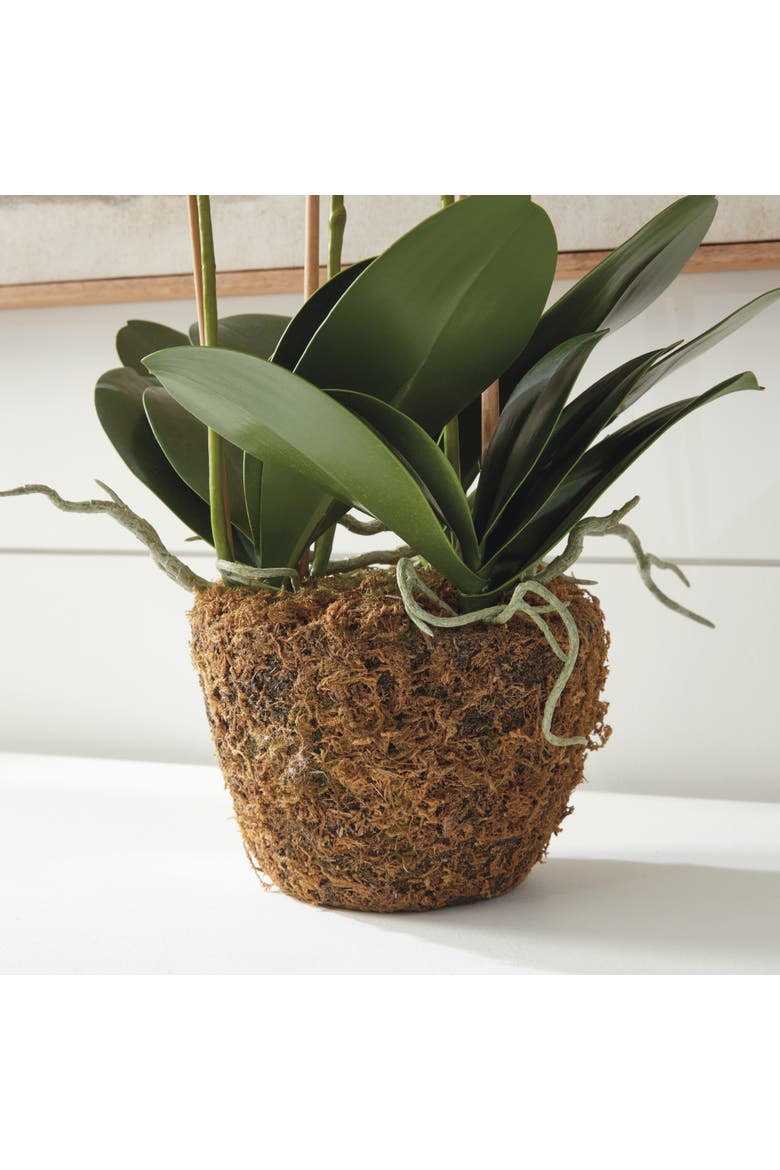 Phalaenopsis Orchid Faux (Fake) Drop-In 30", Alternate, color, White