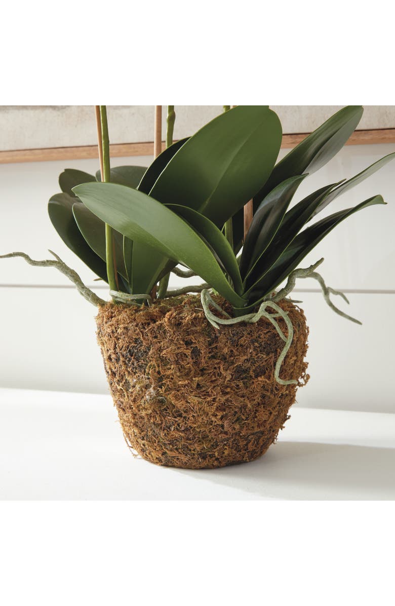 Napa Home & Garden Phalaenopsis Orchid Faux (Fake) Drop-In 30", Alternate, color, White