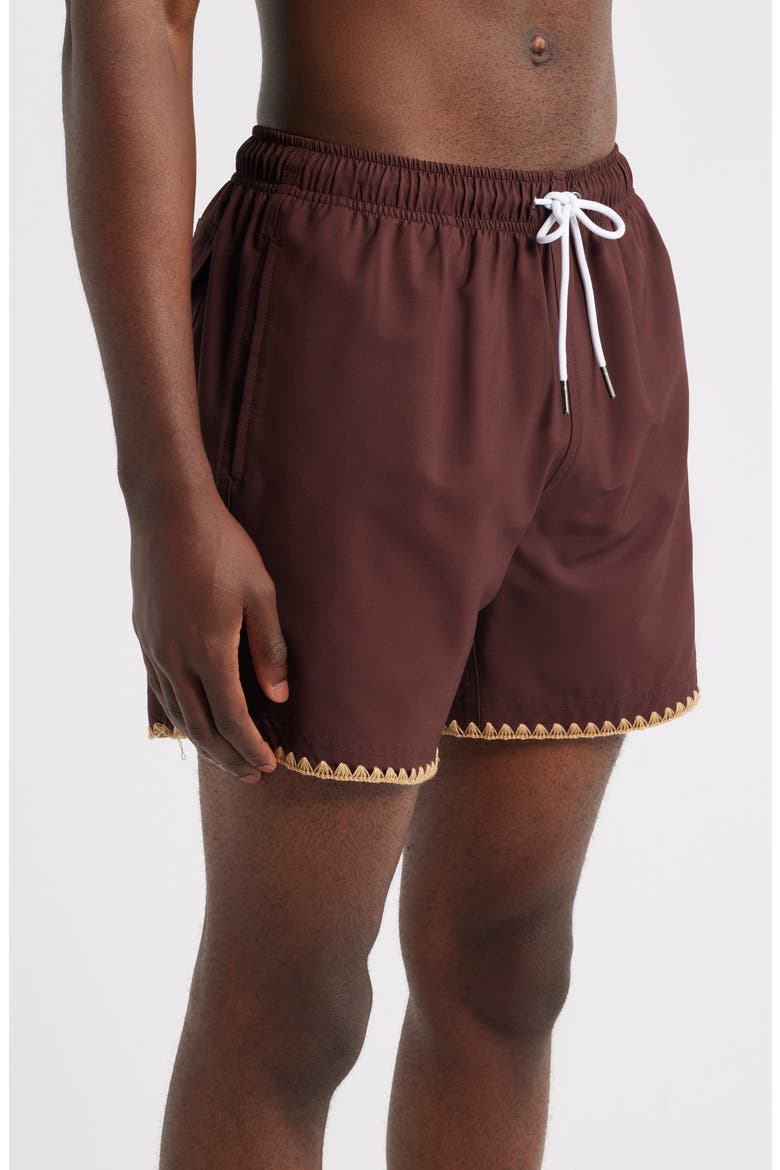 Espresso Stitch Waterproof Swim Trunks, Alternate, color, BROWN