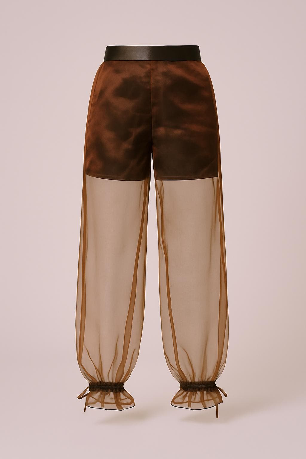 Sheer Organza Pants - image 2