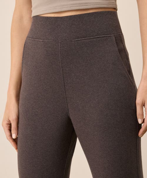 Pact Everyday Organic Cotton Airplane Joggers In Brown