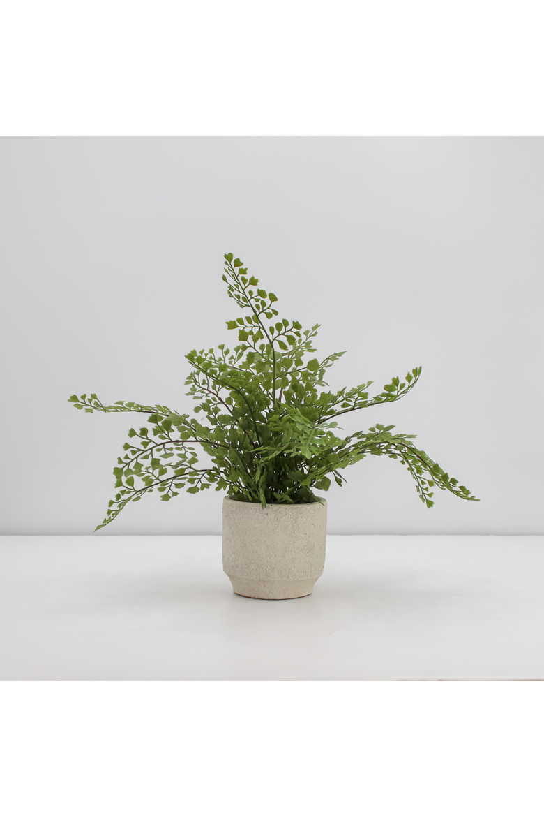 16" Faux Snake Plant and Fern Set in Cream Pot, Alternate, color, Crème