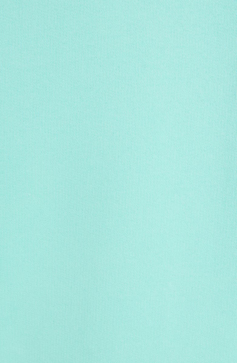 Balenciaga Embroidered Logo Cotton Hoodie, Alternate, color, 