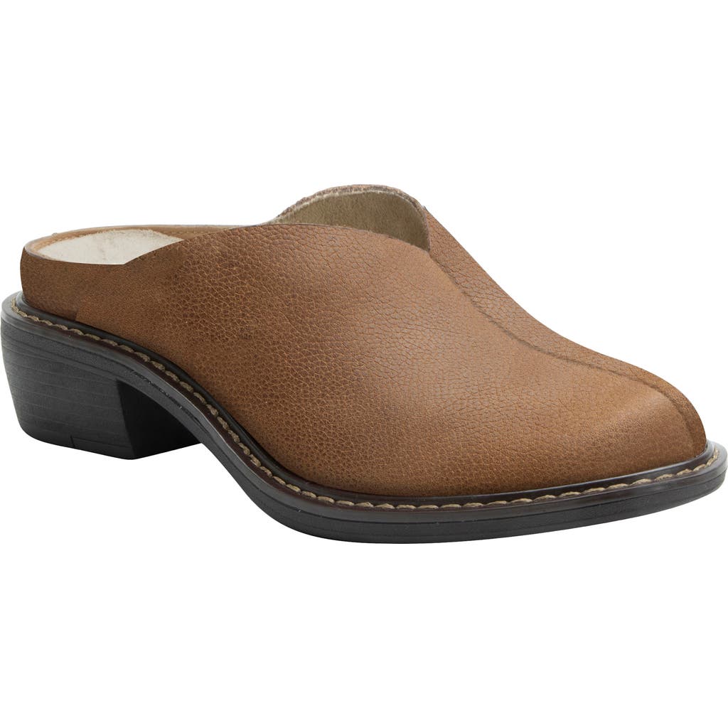 Alegria By Pg Lite Michy Mule