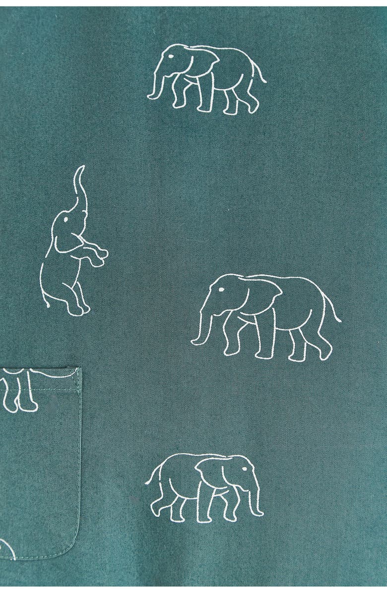 Babycottons Premium Cotton Raj Playsuit for Infant, Alternate, color, Pastel Blue