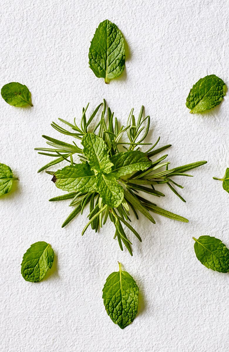 Aveda Rosemary Mint Hand & Body Wash, Alternate, color,