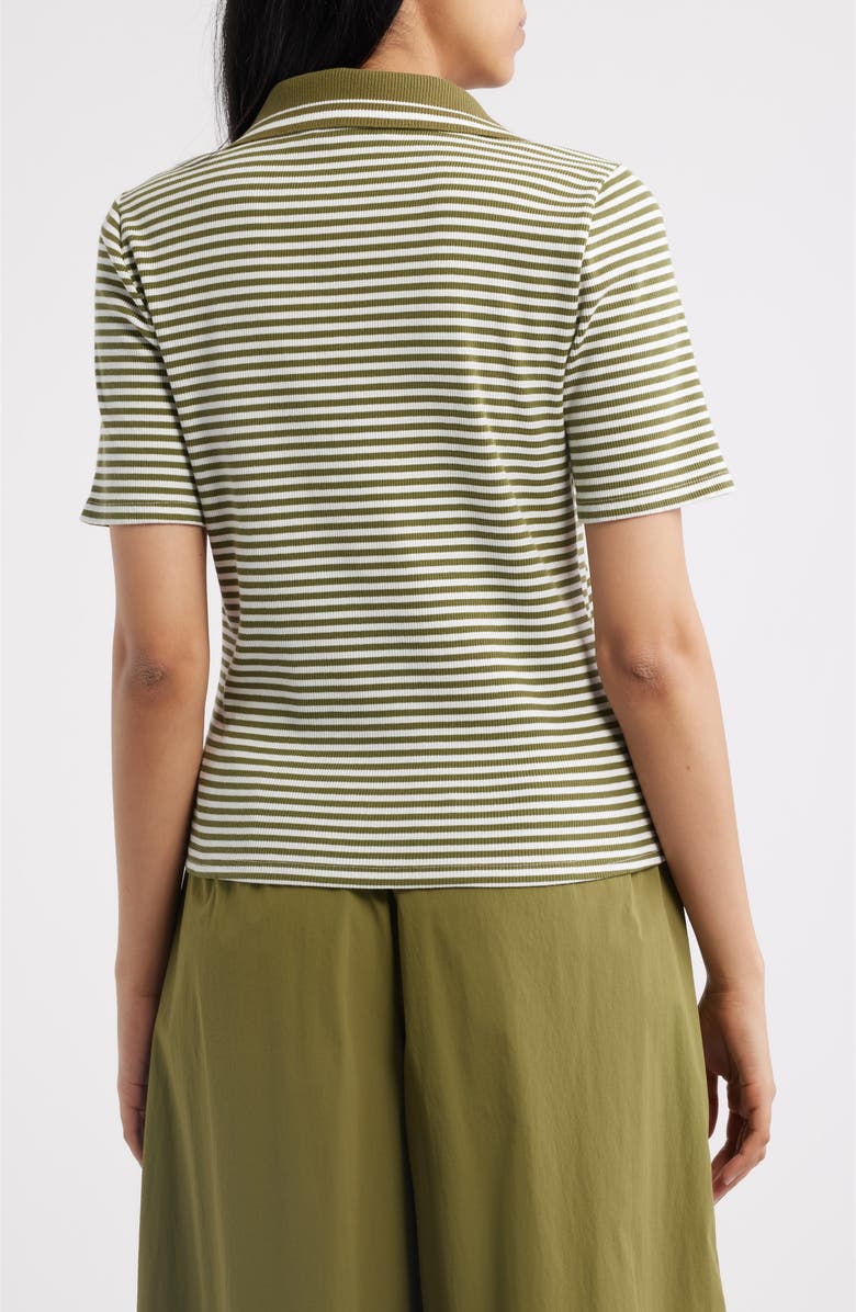 Bernardo Stripe Johnny Collar Polo, Alternate, color, Cream / Fir Green