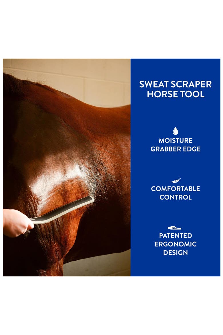 Equine Grooming Sweat Scraper Horse Tool, Alternate, color, Black