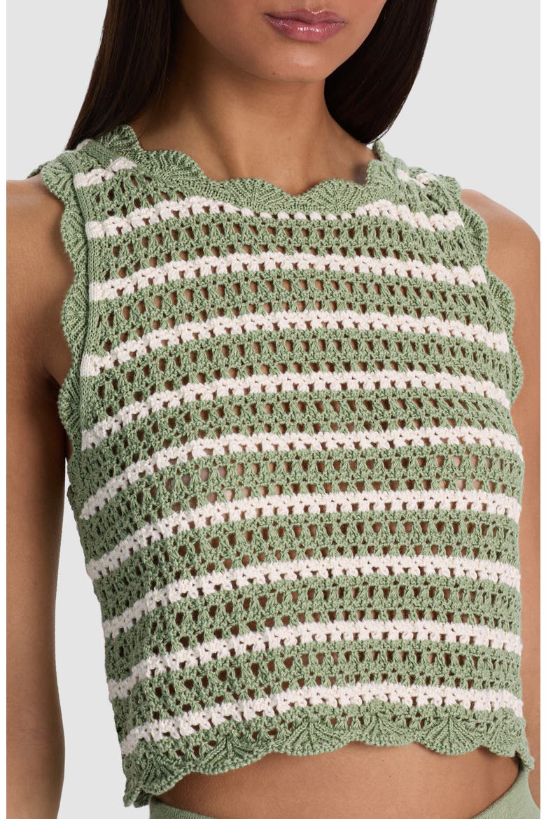 Ciara Crop Stripe Pointelle Knit Top, Alternate, color, SAGE/ SOFT WHITE