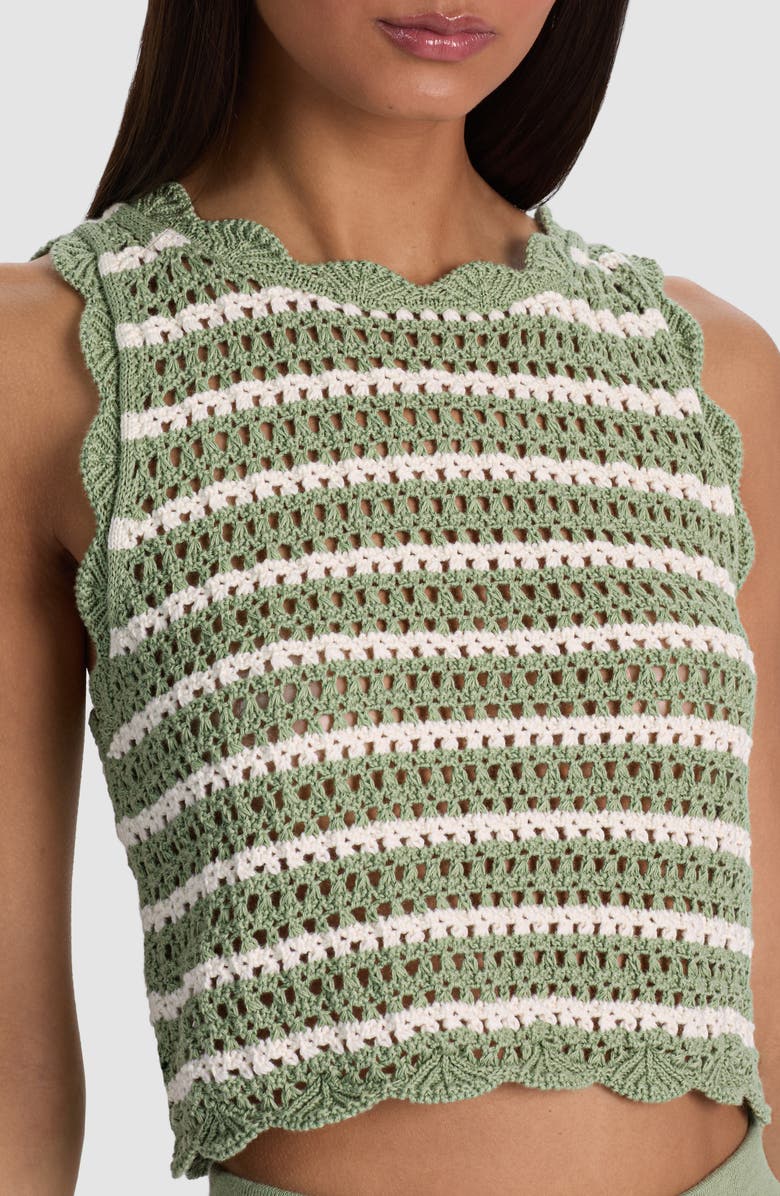 Alice + Olivia Ciara Crop Stripe Pointelle Knit Top, Alternate, color, Sage/ Soft White