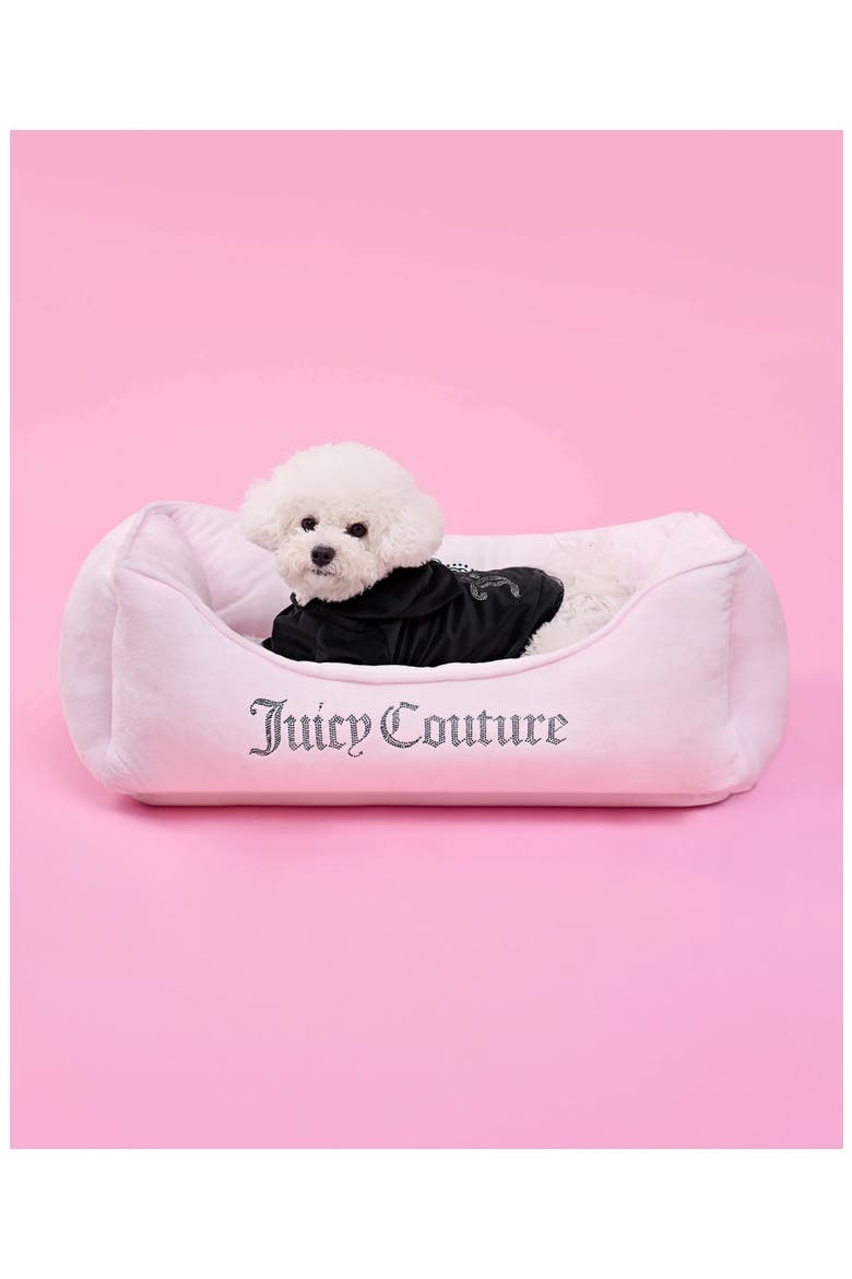 Velour Dog Tracksuit, Alternate, color, BLACK