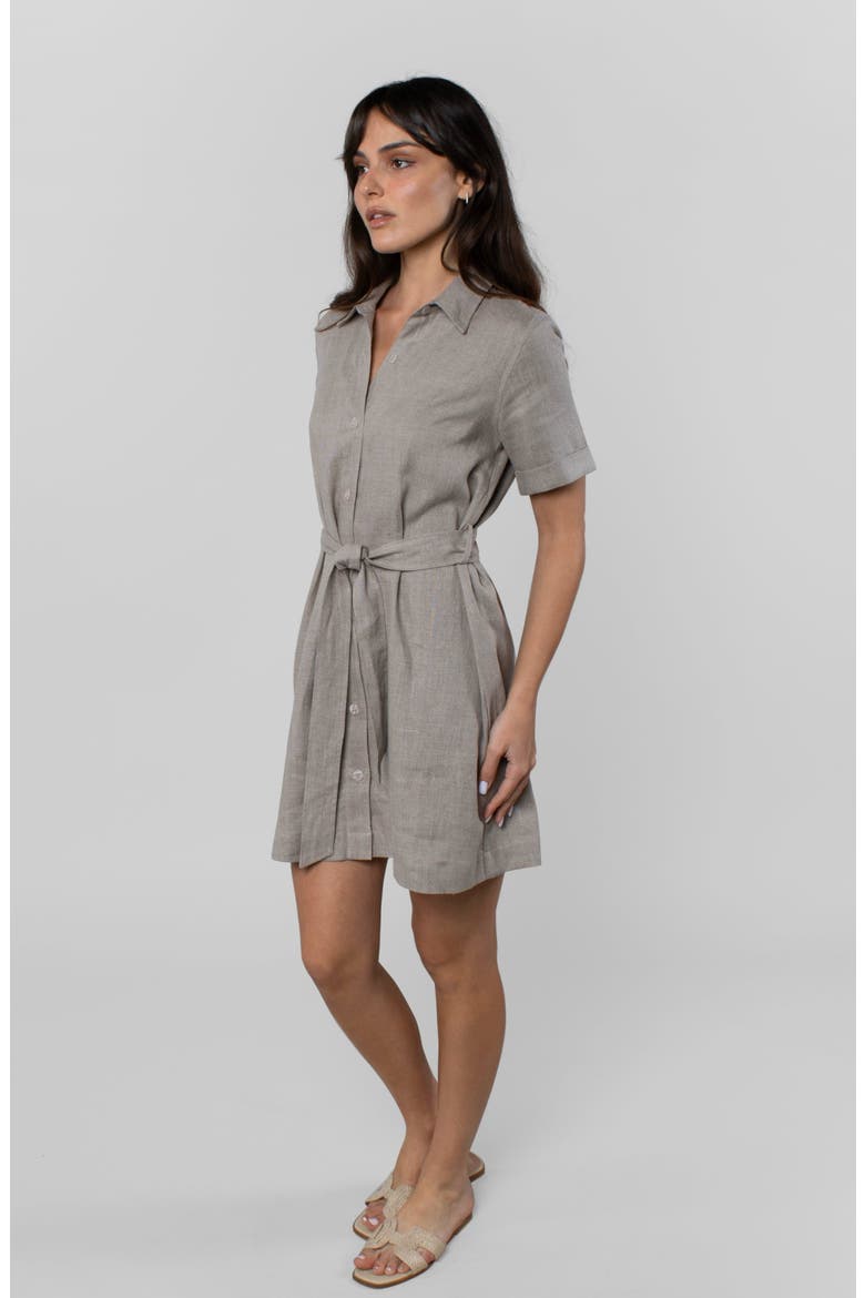 Montage Dress, Alternate, color, Cappuccino