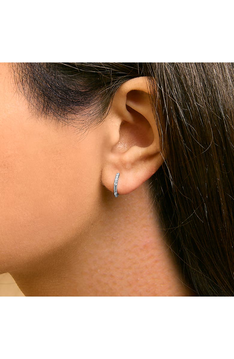 Haus of Brilliance 10K Gold 1/4 Cttw Diamond Double Sided Huggie Hoop Earrings, Alternate, color, White