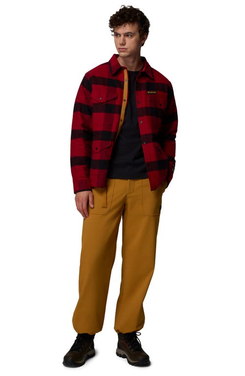 Columbia High Cascades Water Repellent Pants In Brown