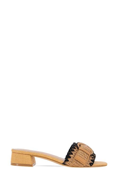 Bcbg Camri Buckled Raffia Slide Sandal In Dark Natural