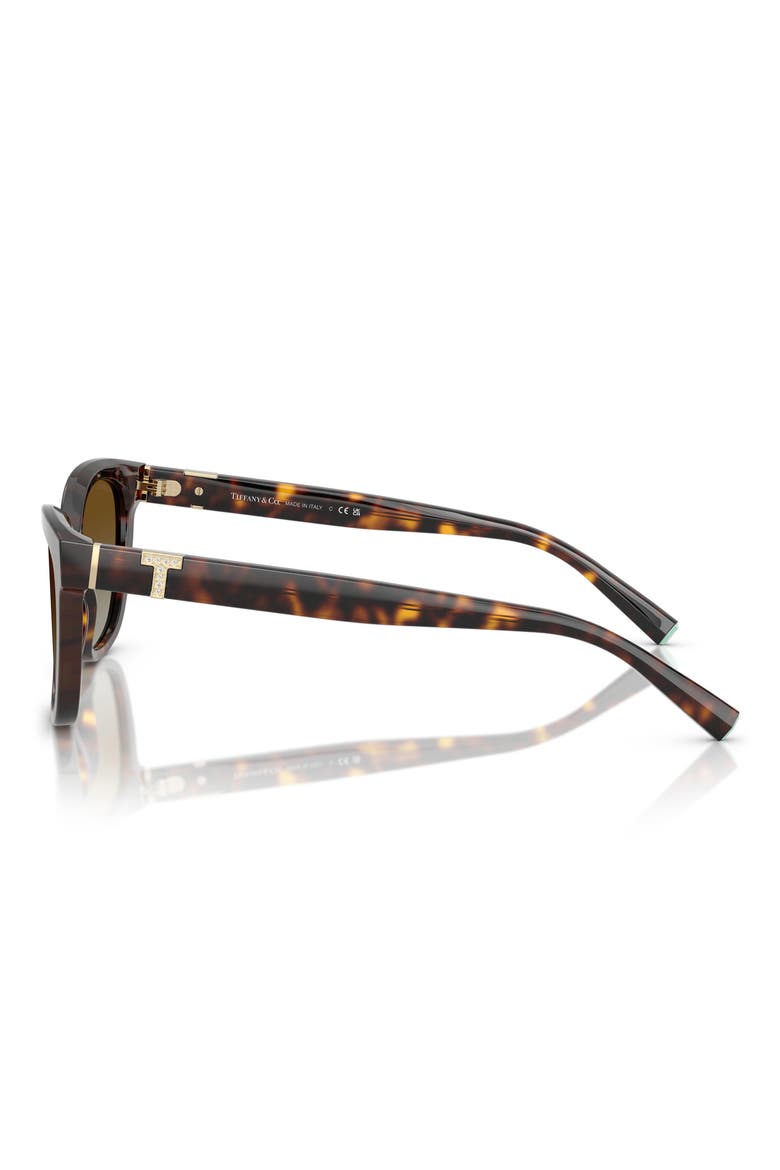 55mm Polarized Gradient Cat Eye Sunglasses, Alternate, color, HAVANA/ POLAR BROWN GRADIENT
