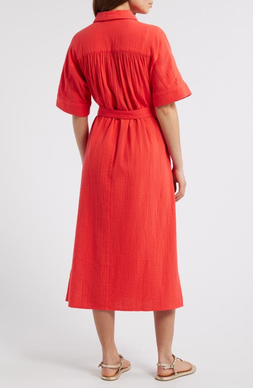 Caslonr Caslon(r) Belted Maxi Shirtdress In Red Bittersweet