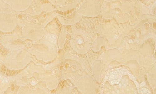 Valentino Beige Floral Lace Tights With Logo Waistband In Betulla