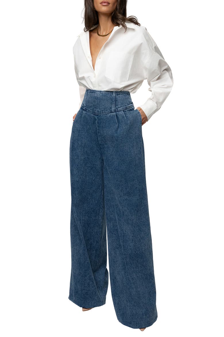 Pleated Wide Leg Denim Pants, Alternate, color, DENIM