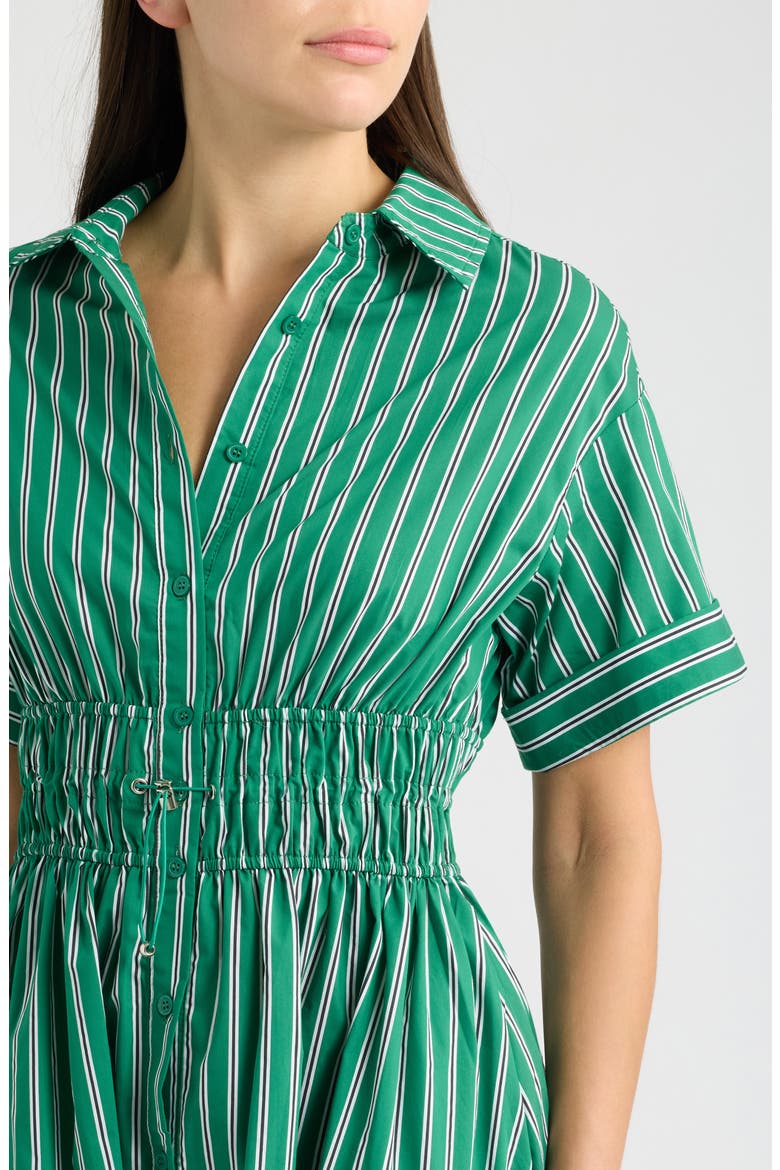 Stripe Drawcord Waist Shirtdress, Alternate, color, GREEN STRIPE
