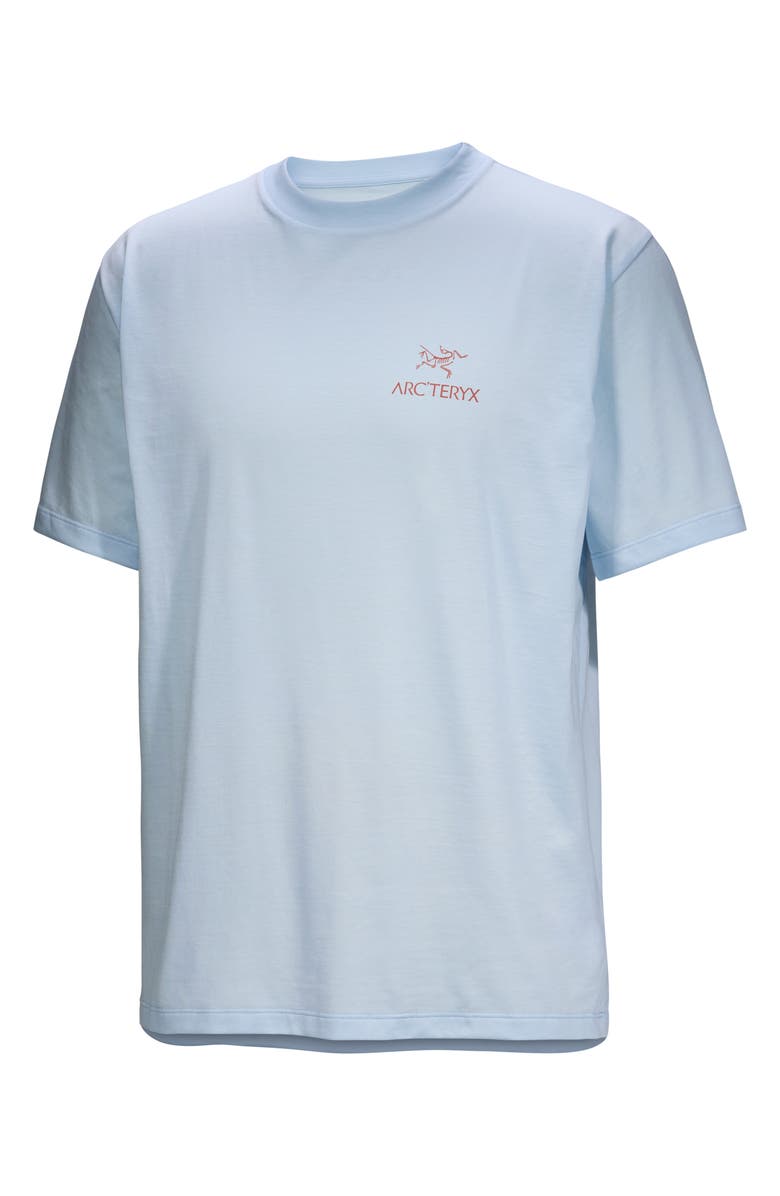 Arc'teryx Kragg Bird Worm Cotton Graphic T-Shirt, Main, color, Stride