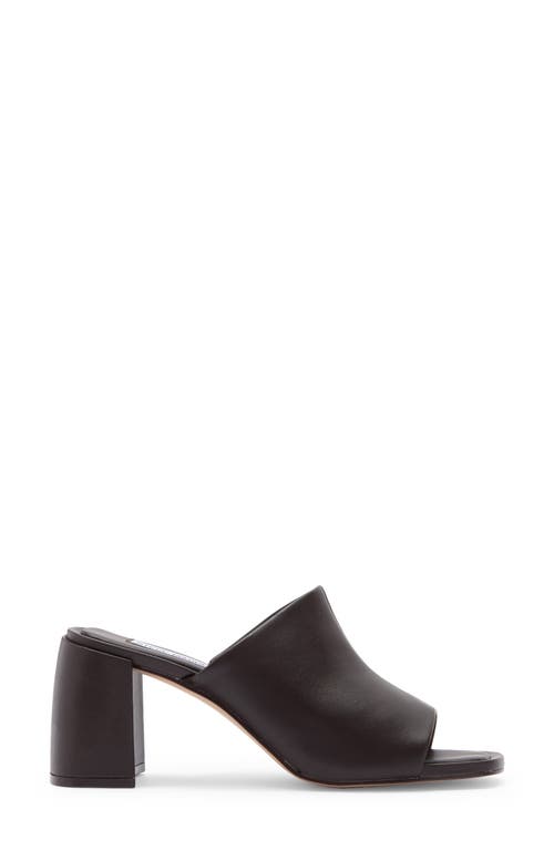 Steve Madden Ammanda Mule In Brown