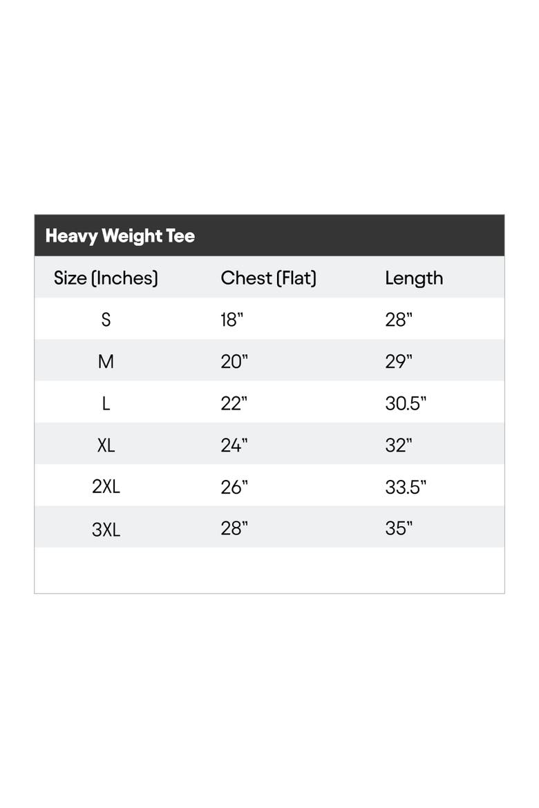 Mens Alien Heavyweight Tee, Alternate, color, Charcoal Htr