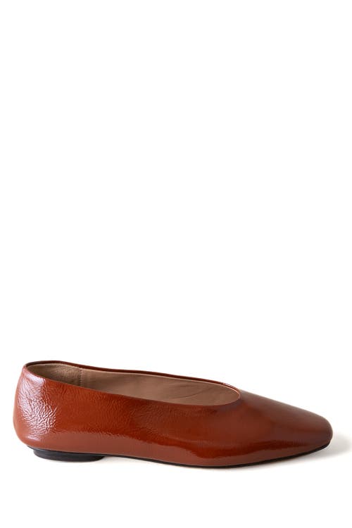 Huma Blanco Margaux Ballet Flat In Animal Print