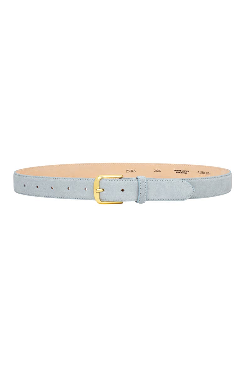 No. 4 Suede Belt, Main, color, SKY BLUE/GOLD