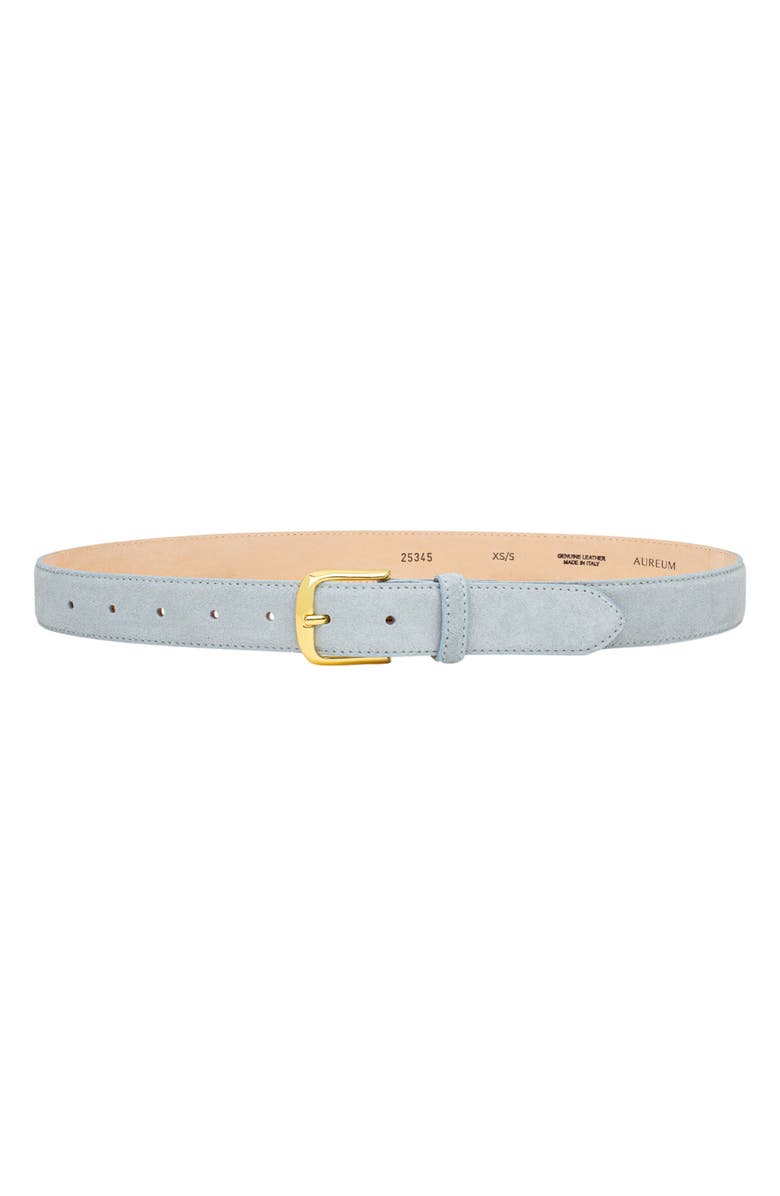 AUREUM No. 4 Suede Belt, Main, color, Sky Blue/Gold