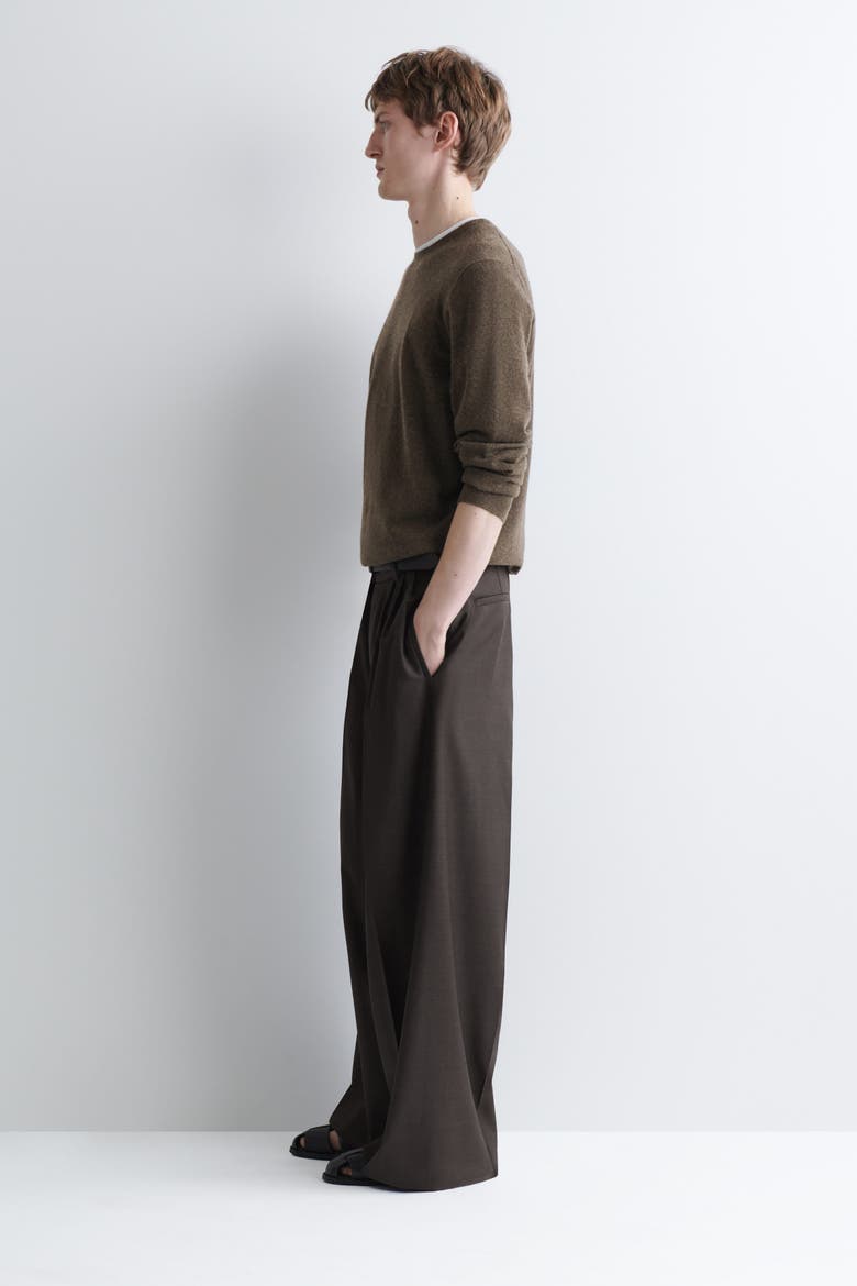 Pleated Relaxed-Fit Wide-Leg Pants, Alternate, color, DARK BROWN