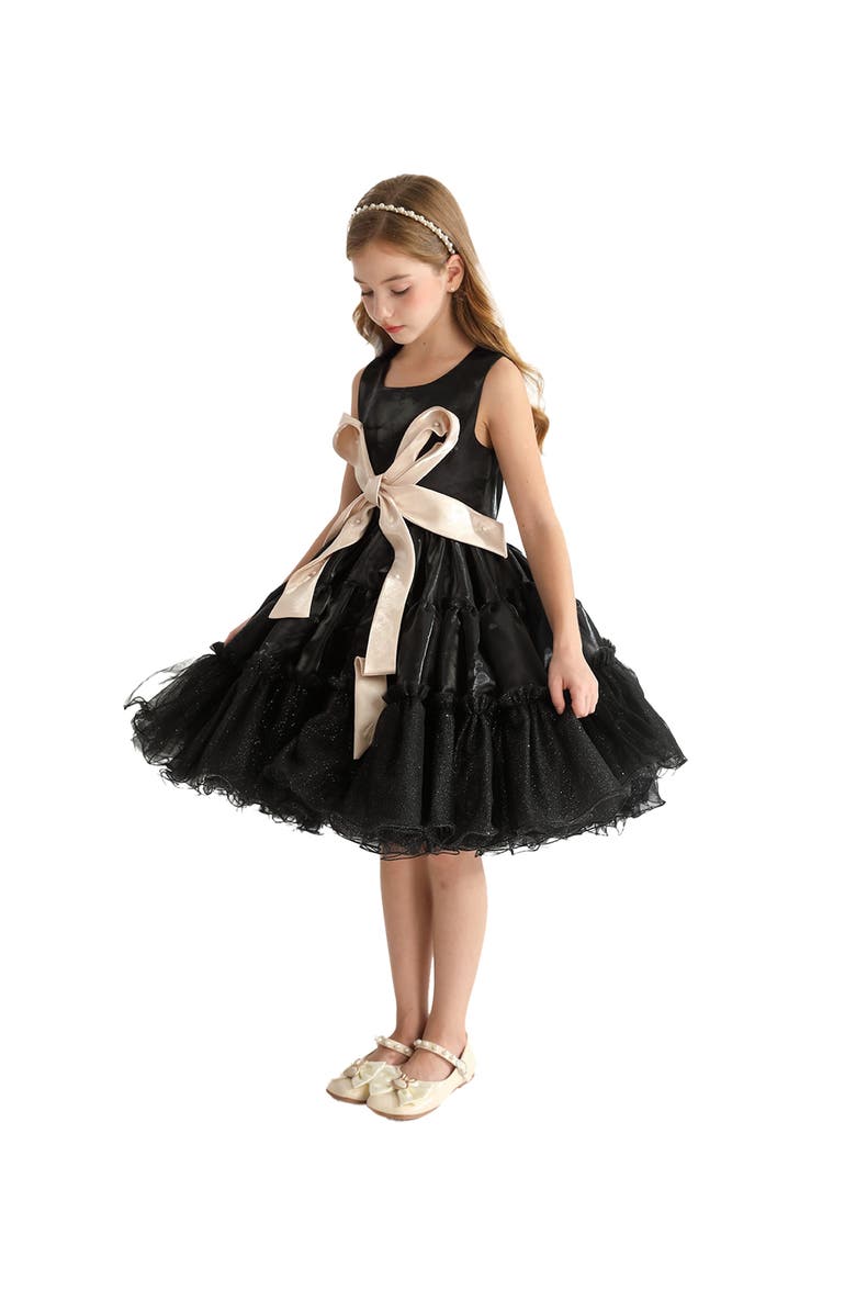 Tulleen Madrona Dress, Alternate, color, Black