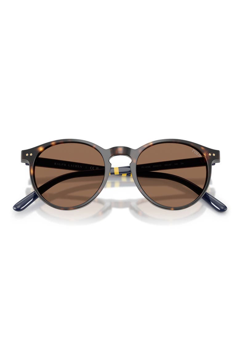 50mm Round Sunglasses, Alternate, color, SHINY DARK HAVANA / BROWN