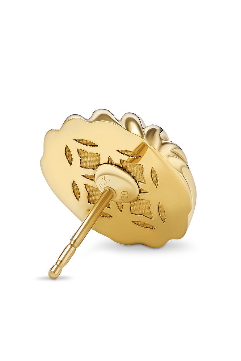 Sculpted Cable Earrings in Gold, Alternate, color, GOLD