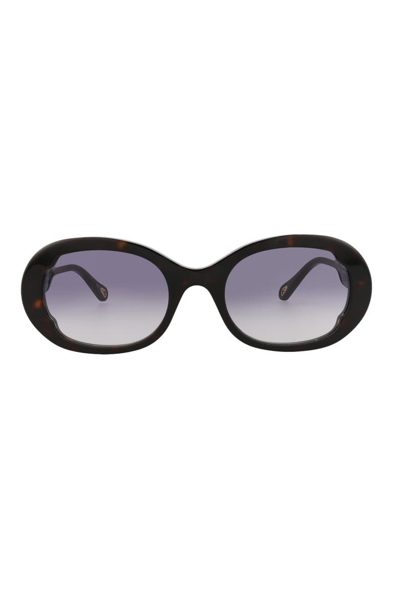 53mm Oval Sunglasses, Main, color, HAVANA HAVANA BLUE