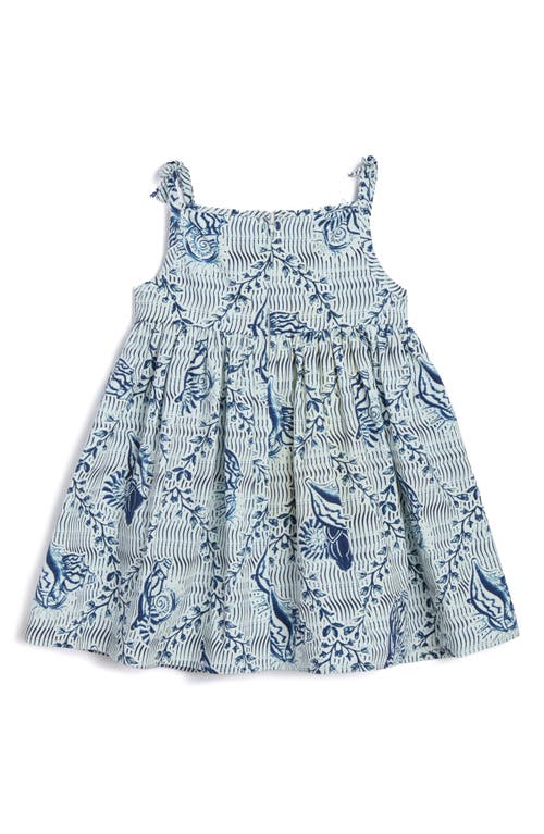 Pippa & Julie Tracy Seashell Print Dress