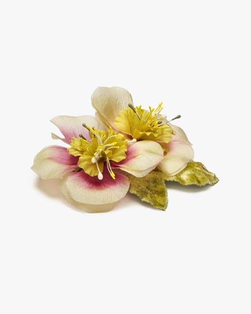 Helena Simon The Hellebore Floral Brooch In Multi